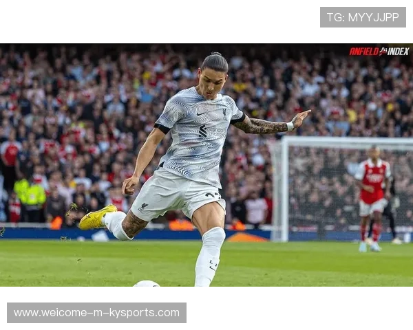 专家分析努涅斯加盟穆帅的利弊，努涅斯是哪个俱乐部