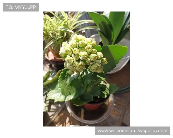 赛前浇水的水量控制:太湿会滑太干会硬,浇水比赛可以并列第一吗 赛前浇水的水量控制:太湿会滑太干会硬,浇水比赛可以并列第一吗